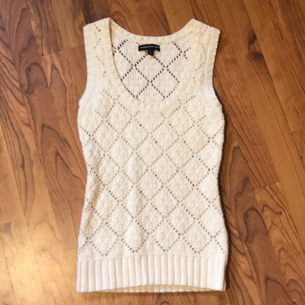 Express sweater vest